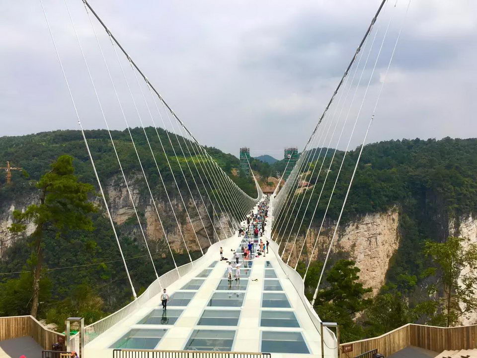 董事长张家界大峡谷玻璃桥一行